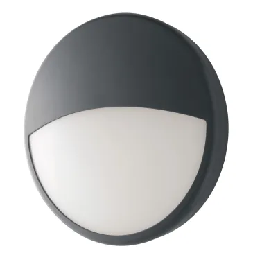 Außendeckenleuchte mit Augenblende | Mondialshop