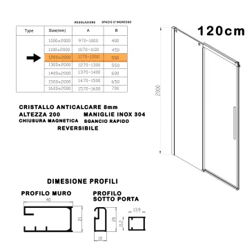 Porte de douche pour niche avec profilés en acier satiné h200
