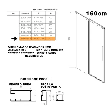 Porte de douche pour niche avec profilés en acier satiné h200