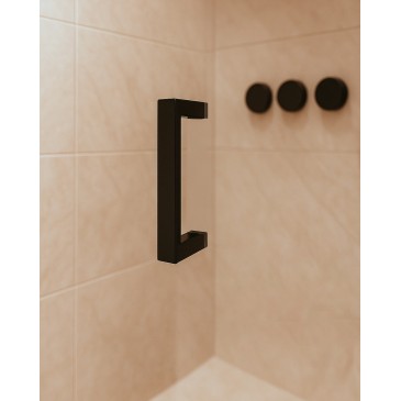 Porte de douche en niche...