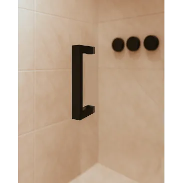Porte de douche en niche...