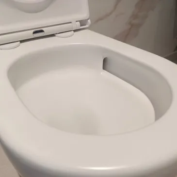WC et bidet blanc mat avec chasse d'eau cyclonique MOON