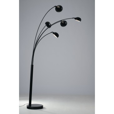 PIANTANA ERACLE NERA 5XE14...