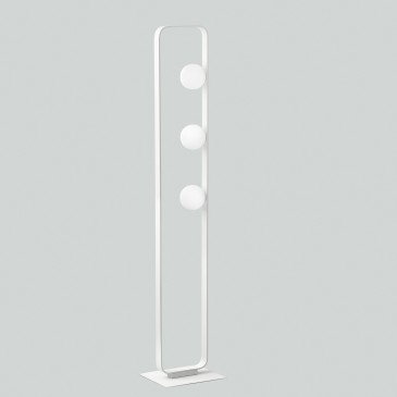 PIANTANA ROXY BIANCA 3XG9...