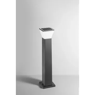 PALO LED MAEVE 2,8W 300LM...