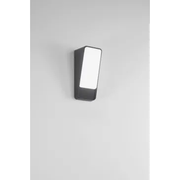 APPLIQUE LED COUPE...