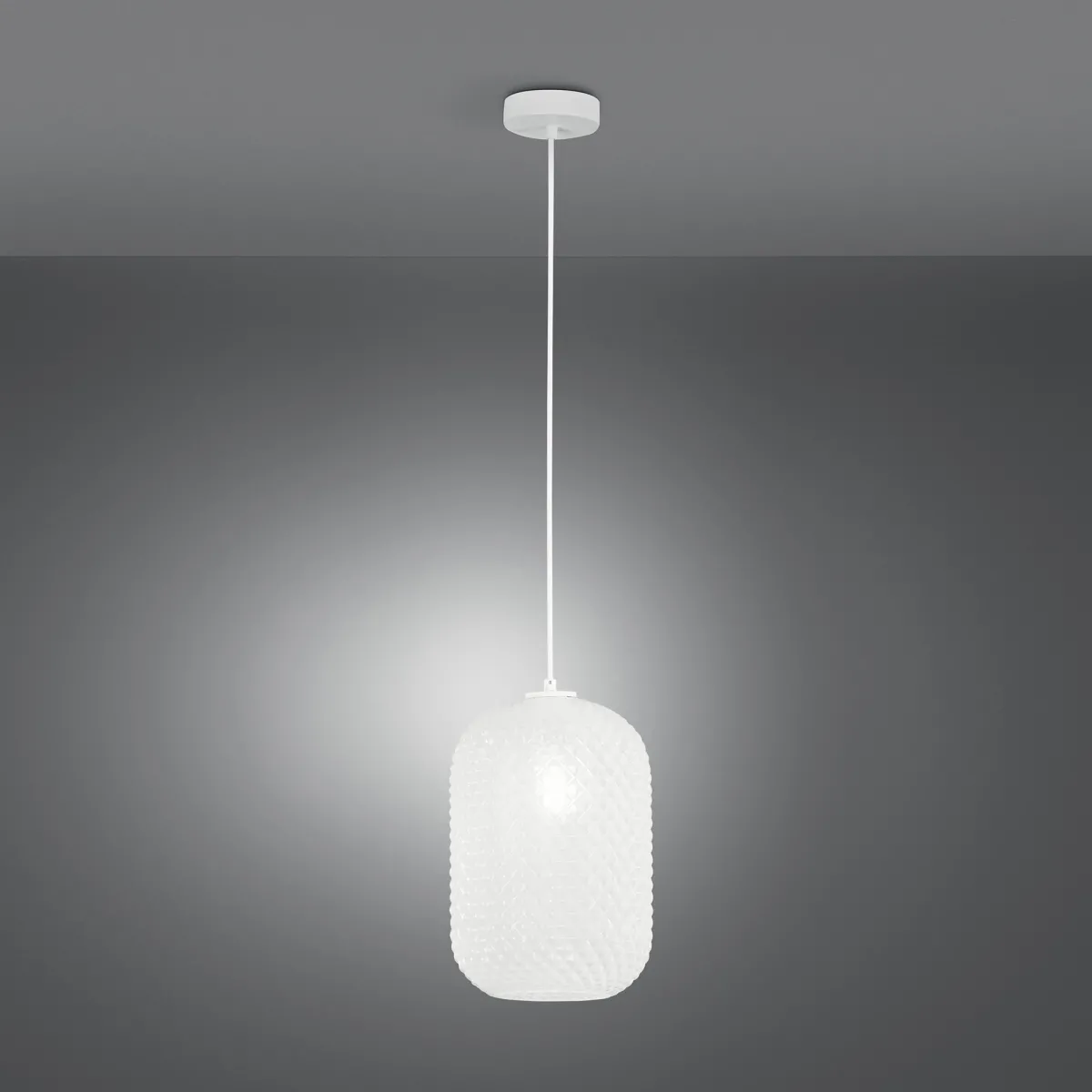 Farbige ovale Pendelleuchte 1xE27 | Mondialshop