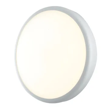 Anthrazitfarbene oder weiße LED-Außendeckenleuchte | Mondialshop