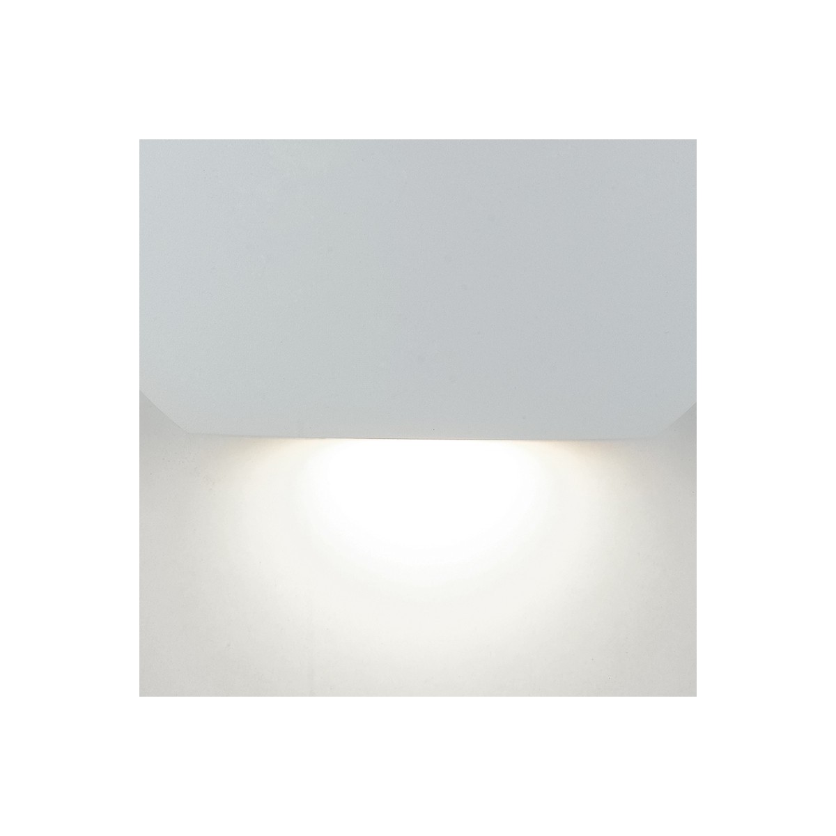 Applique Esterno Tonda LED Biemissione Bianca | Mondialshop