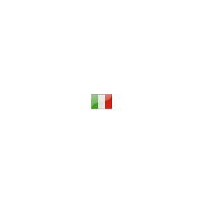 PICCHETTO PER PALO FOCUS